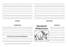 Wildschwein-Faltbuch-vierseitig-2.pdf